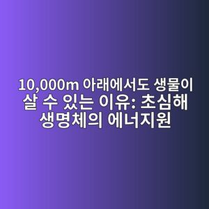 10000m ec9584eb9e98ec9790ec849ceb8f84 ec839debacbcec9db4 ec82b4 ec8898 ec9e88eb8a94 ec9db4ec9ca0 ecb488ec8baced95b4 ec839debaa85ecb2b4 1789973720